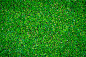 Fototapeta premium Green artificial grass floor nature