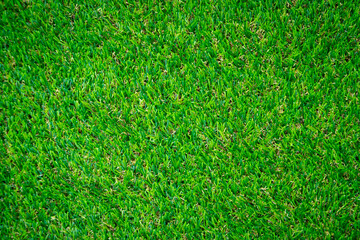 Fototapeta premium Green artificial grass floor nature