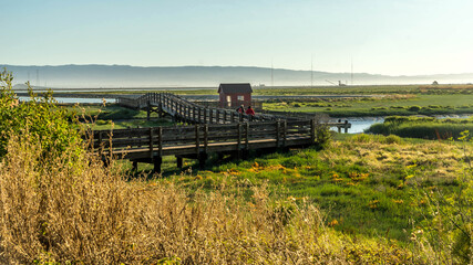 Don Edwards San Francisco Bay National Wildlife Refuge California