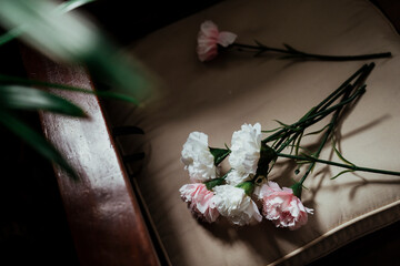 Carnation on the chair at park.
