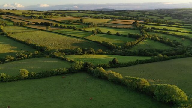 Aerial clip of rolling Devon countryside near Brentor, Devon, England