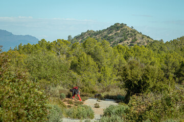 Man tying his boots in the pine forest in the Murcia region. Spain.-