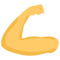 Muscle 