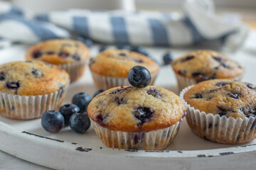 Freshly baked blueberry muffins 