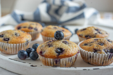 Freshly baked blueberry muffins 