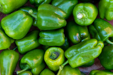 Lots of fresh green sweet peppers background. View from above.