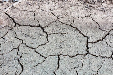 dry cracked earth