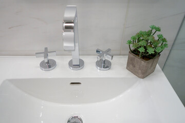 Modern bathroom white ceramic sink with chrom fixtures and plant