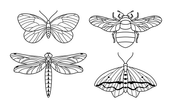 A set of insect icon outlines in a minimalist trendy style. Vector linear illustrations of butterflies, bumblebees and dragonflies to create logos for beauty salons, massages, spas, jewelry, tattoos