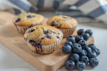 Freshly baked blueberry muffins 
