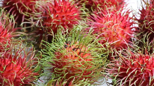 rambutan fruit