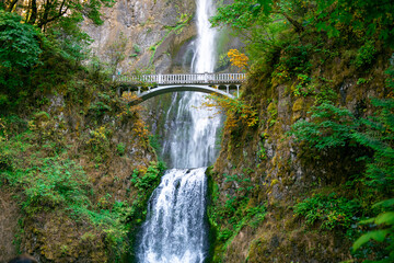 waterfall on the forest