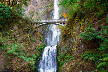 waterfall on the forest