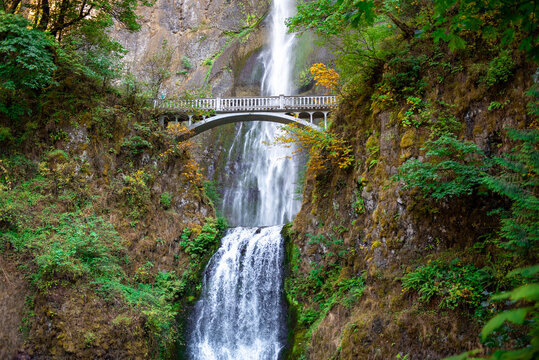 waterfall on the forest