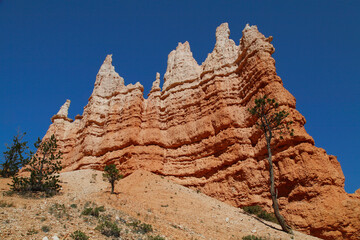 Fototapeta premium Impressive, breathtaking hoodoos (spire-shaped rock formations) at Bryce Canyon National Park in Utah 