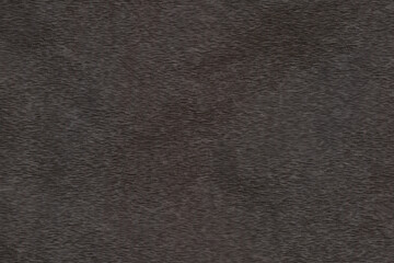 wood bark texture design