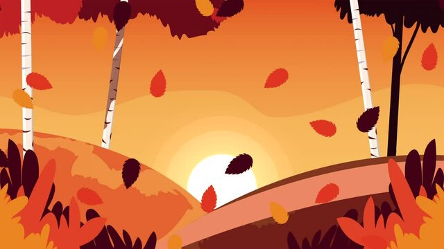 hello autumn animation with leafs in forest sunset scene