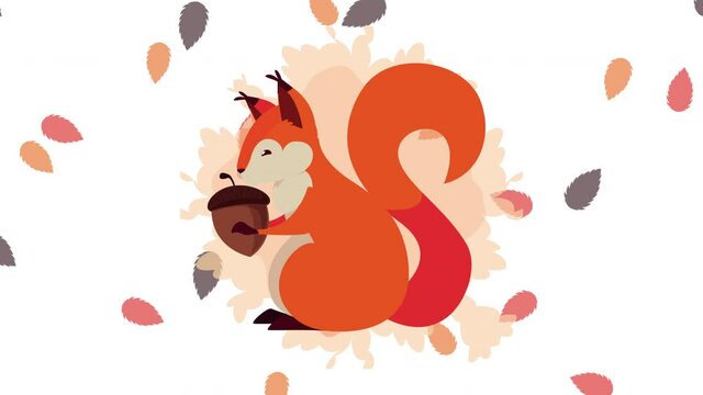 hello autumn animation with squirrel and nut leafs pattern