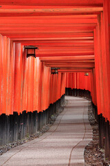 Fototapeta premium 誰もいない京都伏見稲荷大社の千本鳥居