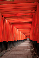 誰もいない京都伏見稲荷大社の千本鳥居