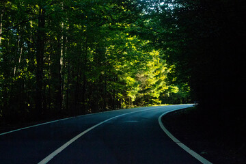 Fototapeta premium Beautiful landscape with forest on the way to Transfagarasan road without cars in Romania,Carpathian mountains in autumn,tree tunnel,mystic place,image for calendar,poster,cover design,postcard