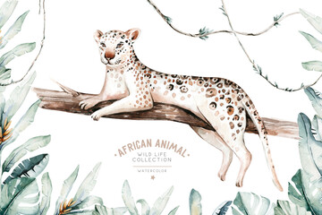 Watercolor painting a gepard . Wild cat isolated on white background. Africa safari leopard animal illustration © kris_art