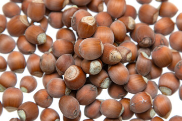 fresh hazelnuts on white background