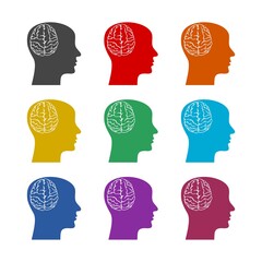 Brain and human head icon, color set