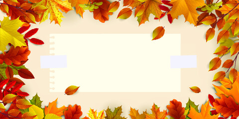 Greetings and gifts for the autumn and autumn season concept. Autumn background, poster and banner template with colorful autumn leaves.