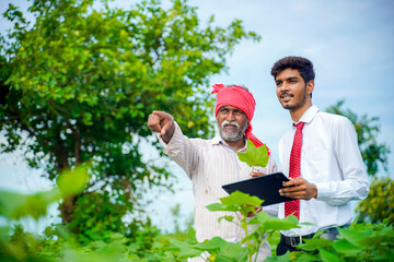 Indian farmer with agronomist at Cotton field , showing some information on tab