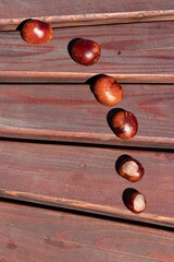Autumn background: ripe bright chestnuts on planks of a wooden bench