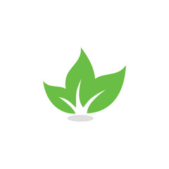 Abstract Organic Vector , Nature Logo