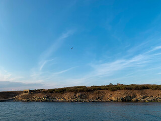 Fototapeta na wymiar Island coast with calm sea, blue sky and seagull over head