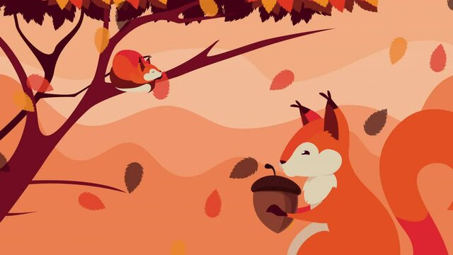 hello autumn animation with squirrel and nut in forest scene