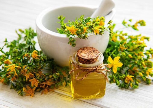 St johns wort oils, and  fresh herbs in a mortar
