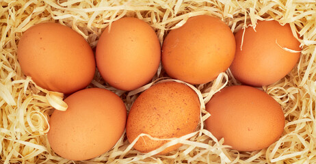 chicken eggs in sawdust on a pink pastel background, copy space, flatlay