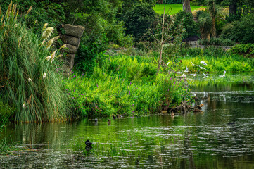 Fertile Lake