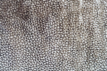 dirty leather background