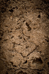 Rough plaster surface with cracks for the background.