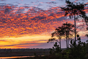 Beautiful sunrise on the high mountain in Phu-kra-dueng national park Loei province, Thailand.