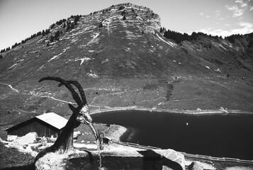 Beautiful Alpine landscape with drinking water trough and lake in  French Alps in Morzine area, Haute-Savoie department , Auvergne-Rhone-Alpes region, France. Black white photo.