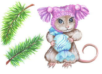 illustration of a mouse, spruce branches isolated on a white background