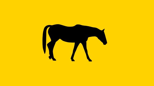 Silhouette of the walking horse, animation on the yellow background