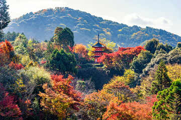 Red Pagoda among Colorful maple tree garden in autumn at Kiyomizudera Temple, Kyoto, Japn