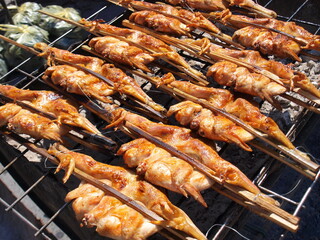 Close-up grilled chicken on the stove. Chicken skewers on a steel grill and charcoal grill Delicious food sold in traditional Thai markets. selective focus