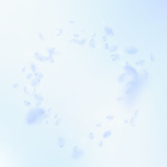 Light blue flower petals falling down. Classic rom