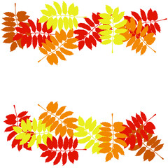 Horizontal border of colorful autumn leaves, twigs in autumn colors vector illustration for design
