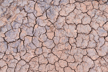 Nature background of cracked dry lands.