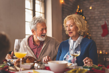 Senior couple having Christmas dinner with family