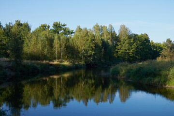 Fototapeta na wymiar Summer forest river reflection landscape. Forest river reflection view. Forest river landscape. Green forest river view